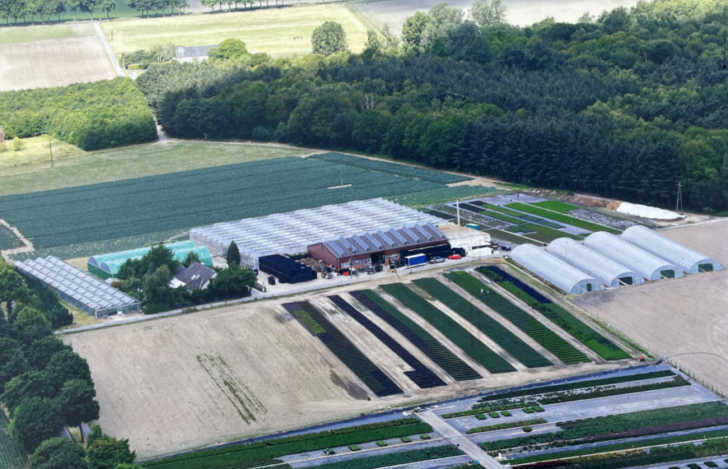 Umsiedlung aus Dorfmitte in Broekhuysen an den neuen Standort in Brüxken 1998 erstes GH 3.000m2